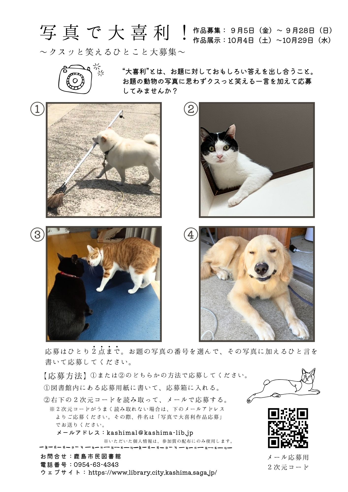 『写真で大喜利！』ポスター